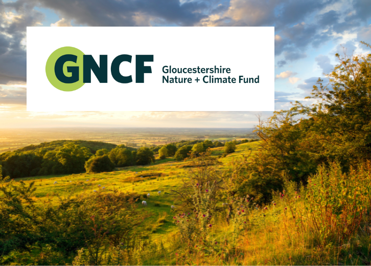 Introducing GNCF: Gloucestershire Nature + Climate Fund