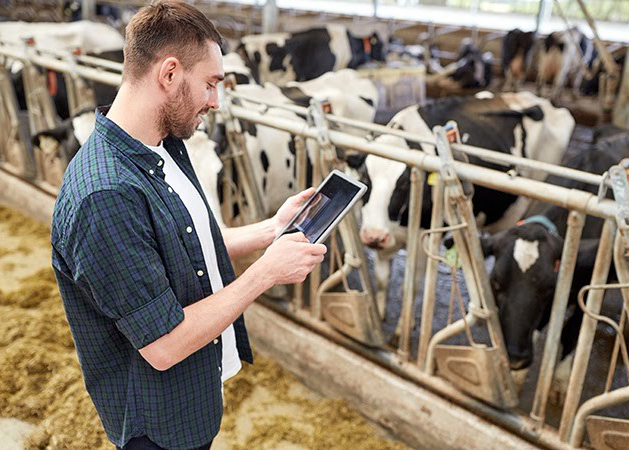 Digital Innovation in Agri-Tech