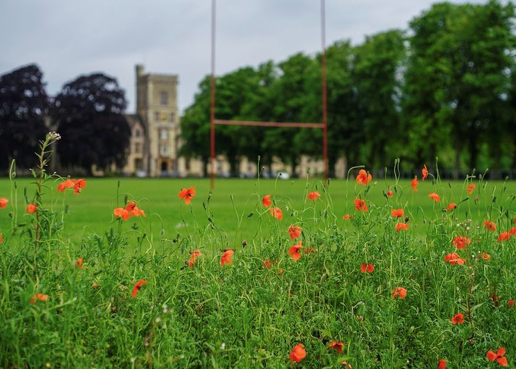 Wild Campus Cirencester