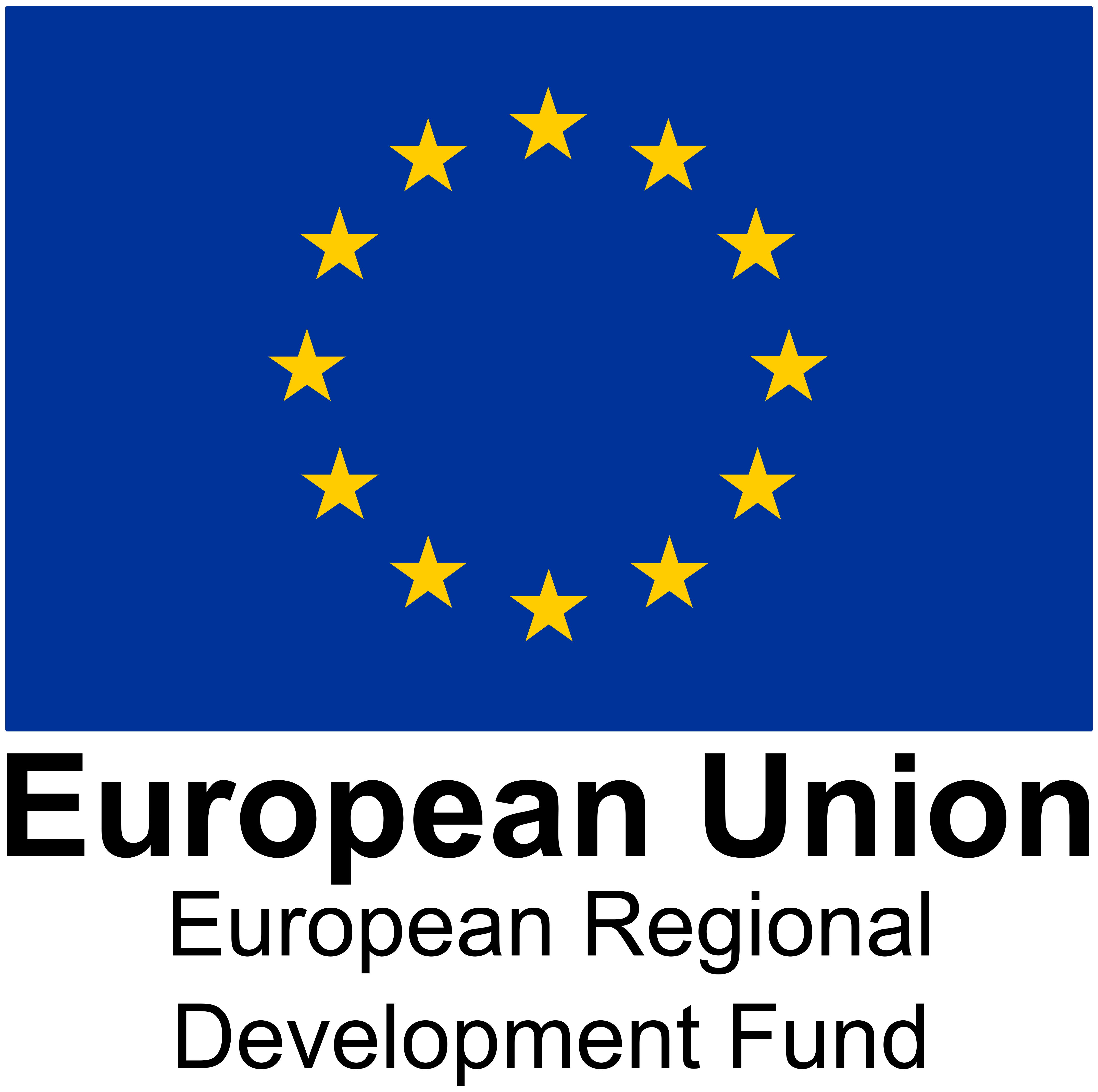 Project Manager ERDF (Technical Assistance) – maternity cover for 12 months